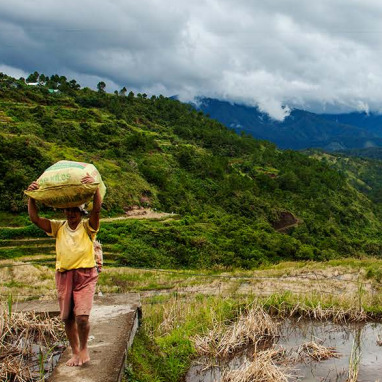 Population, Health, and Environment Voices: How Communities in the Philippines Are Securing a Future for the Next GenerationKnowledge for Health (K4Health) Project
This collection highlights the experiences of PHE Network members in the Philippines,...